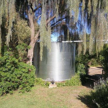 galvanised steel rainwater tanks under willow tree