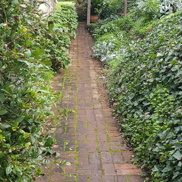access path for rainwater tank at Leawood, SA